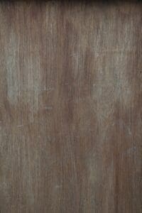 Choosing the Best Flooring for a Pet-Friendly Home